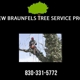 New Braunfels Tree Service Pros