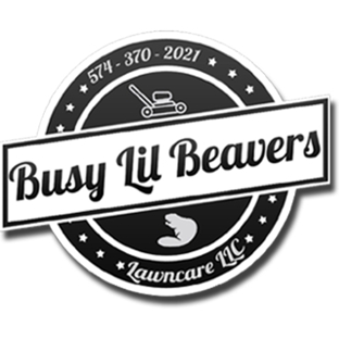 Busy Lil Beavers LLC - Elkhart, IN