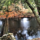 O'Leno State Park & River Rise