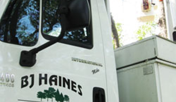 BJ Haines Tree Services - Stillwater, MN