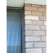 Gallery Image Number 6