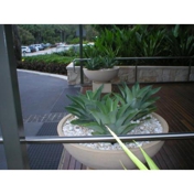 Gallery Image Number 1
