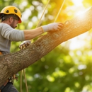 Garcia Tree Services - Tree Service