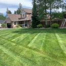 All Out Lawn & Landscaping - Lawn Maintenance