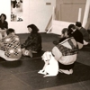 Birmingham Dog Obedience School gallery