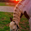 Misty River Equestrian Center - Stables