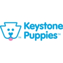 Keystone Puppies - Pet Breeders
