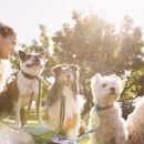 Animal Care Center - Veterinary Clinics & Hospitals