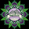 Magnolia Road Cannabis Co. Dispensary gallery
