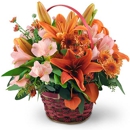 Dayspring Flowers & Gifts - Flowers, Plants & Trees-Silk, Dried, Etc.-Retail