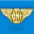 Cargo Network International Pty Ltd Logo