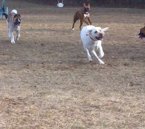 Crystals Dog Training N Boarding - Green Bay, WI