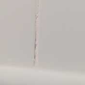 Gallery Image Number 5