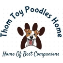 Thom Toy Poodles Home - Pet Stores
