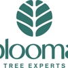 Blooma Tree Experts gallery