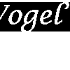 Vogel's Flowers gallery