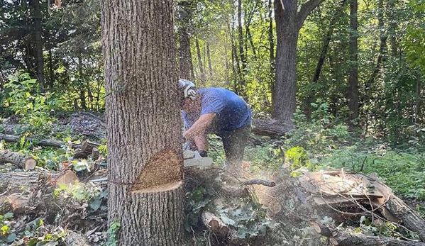 Trustfall Tree Service - De Pere, WI