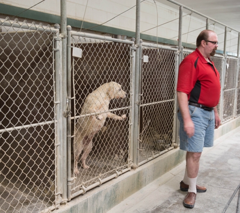 Brushbow Boarding Kennels - West Chicago, IL. DALE AND A HAPPY DOGGIE