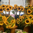 Tenafly Gourmet Farms Inc - Gourmet Shops