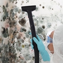 Mold Removal Express - Cleaning Contractors