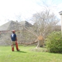 D's Tree & Stump Removal Mr