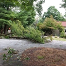 NatureScape Tree Service, LLC - Snow Removal Service