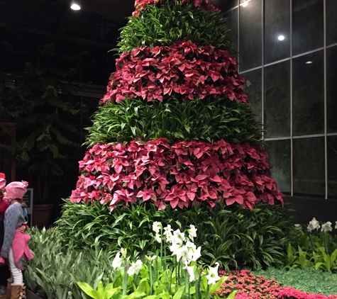 Atlanta Botanical Garden - Atlanta, GA. Christmas tree