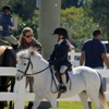 Equines & Equestrians, Inc. gallery