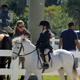 Equines & Equestrians, Inc.