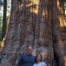 Baber's "Honest John" Tree Service, LLC - Stump Removal & Grinding