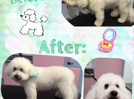 Puppy Patch Boutique & Grooming Spa - Winter Garden, FL