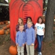 Uncle Bob's Pumpkin Patch