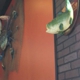 Tasty Tails Seafood House