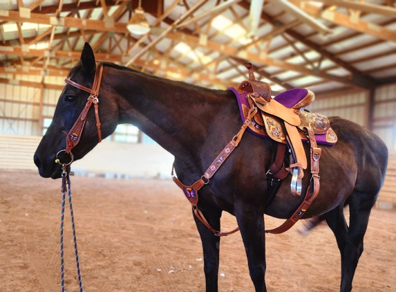 Bridges Riding Equipment - Mooresboro, NC