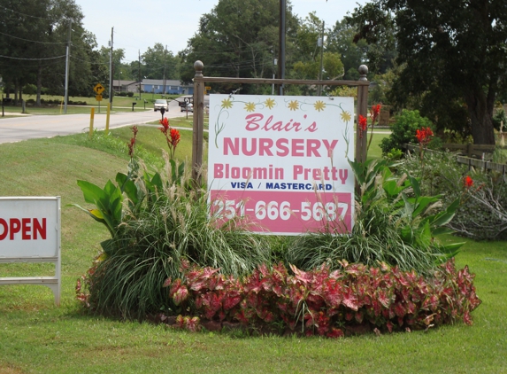 Blair's Nursery & Gifts - Mobile, AL