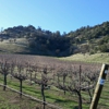 Souza Family Vineyard gallery