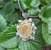 Fairytale Endings - Jewellers - Retail