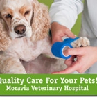 Moravia Veterinary Hospital