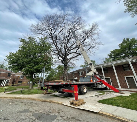 SUPREME TREE SOLUTIONS LLC - Elizabeth, NJ