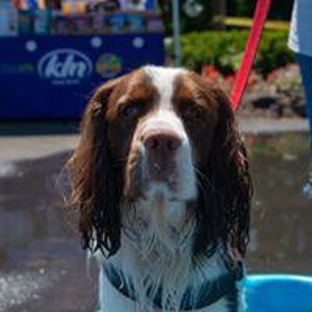 Benson's Pet Center - Albany, NY