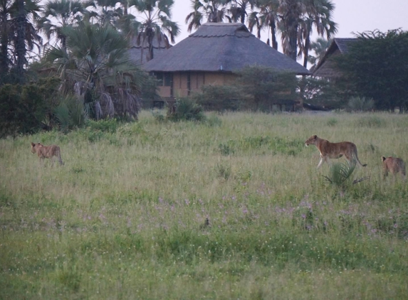 Ombeni African Safaris - Middleton, WI