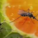 Eastern Pest Services - Pest Control Equipment & Supplies
