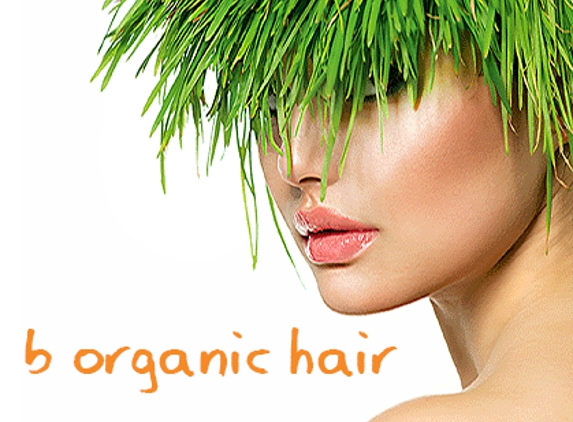 B Organic Hair - Northridge, CA