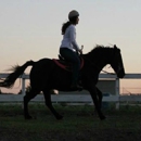 Flying G Ranch - Horse Stables