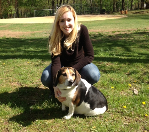 Silver Hound Dog Walking - Millburn, NJ