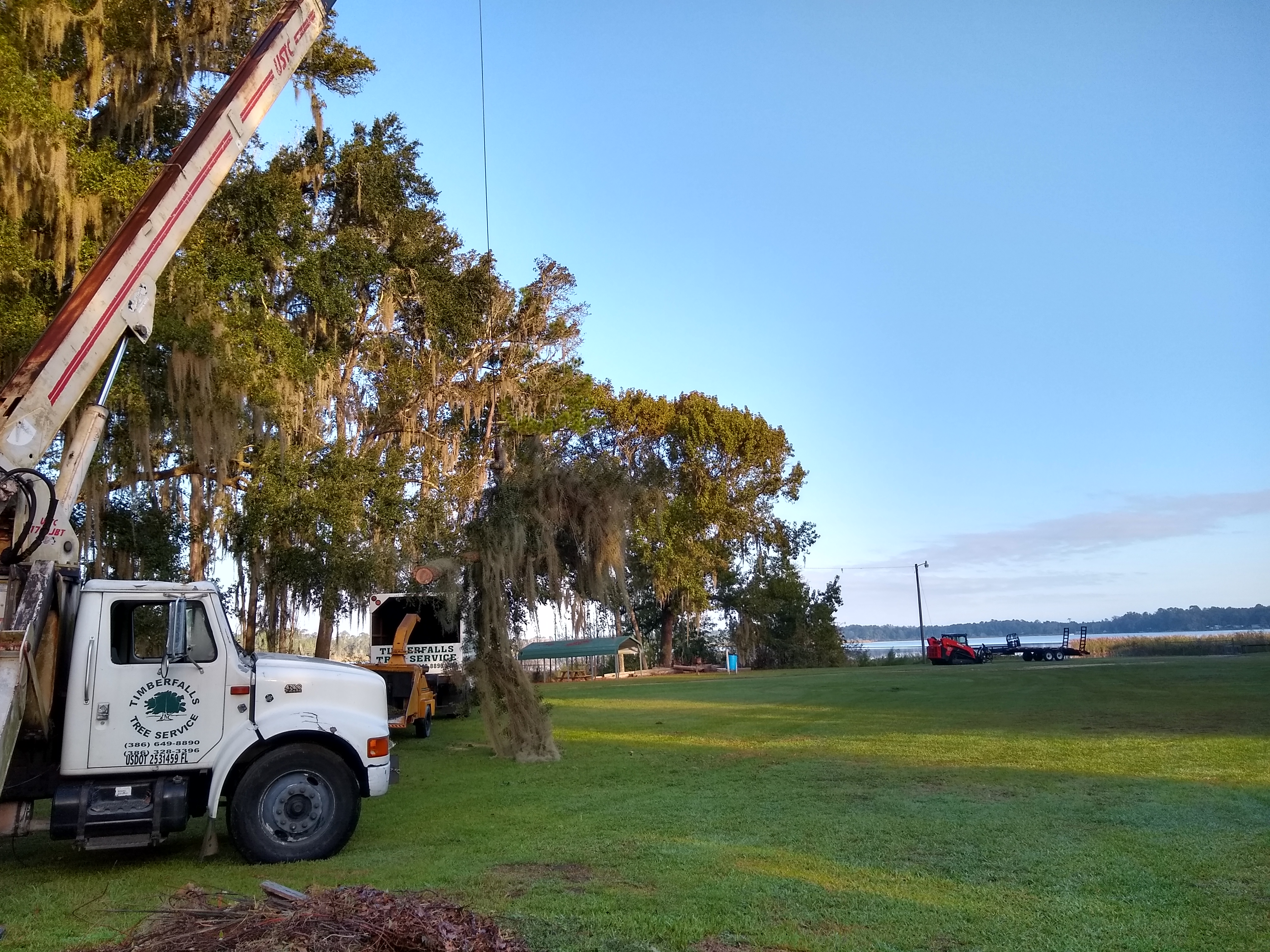 scott's tree service bunnell florida