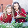 St Vincent De Paul Elementary School gallery