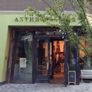 Anthropologie - Women's Clothing