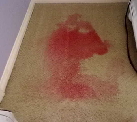 Affordable Clean Carpet LLC - Mead, CO. before cleaning and removal of red stain, before