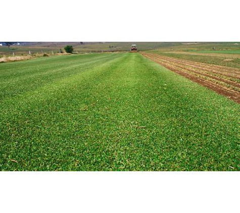 Deans Turf Supplies - Branxton, NSW